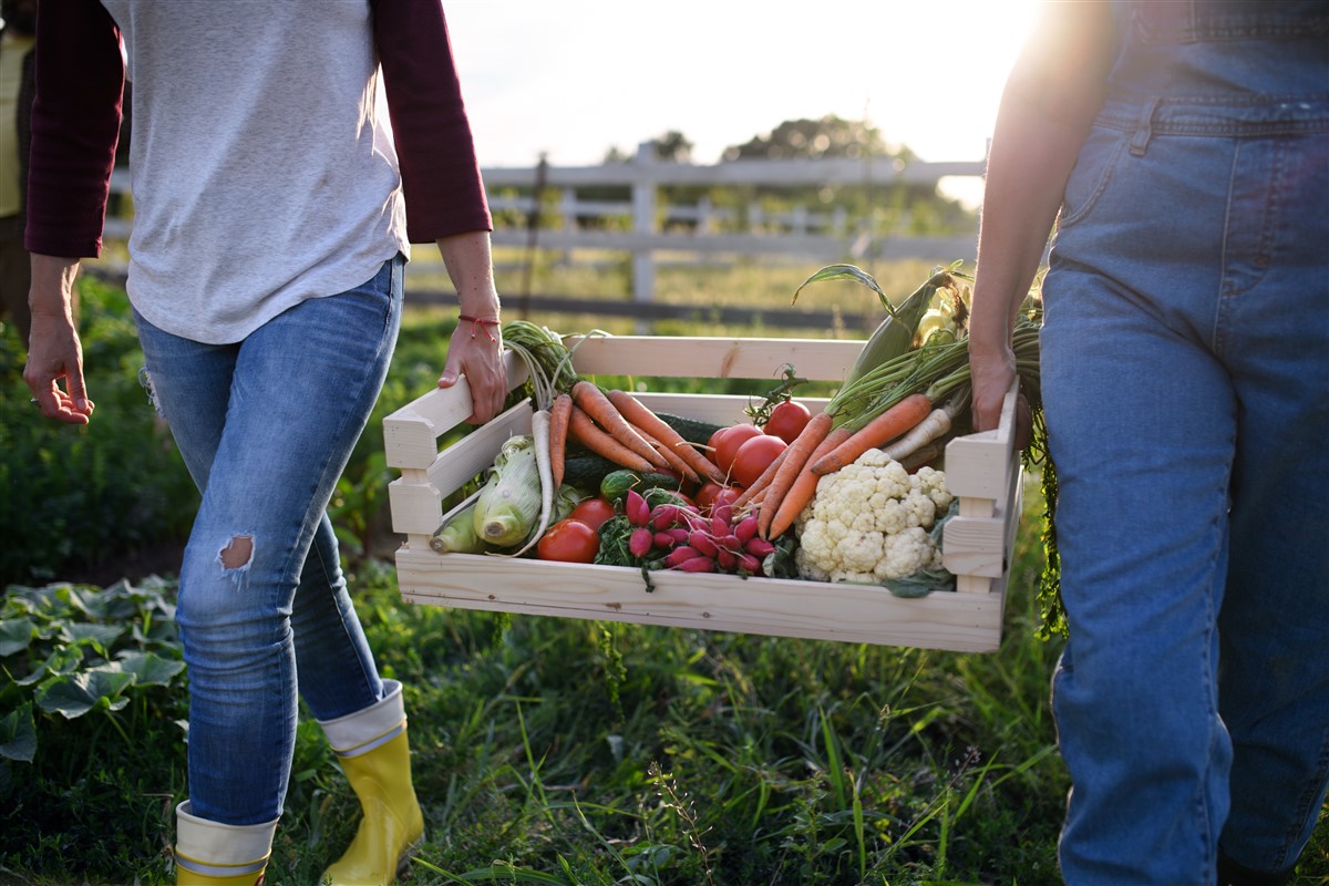 Différence entre fermier et agriculteur