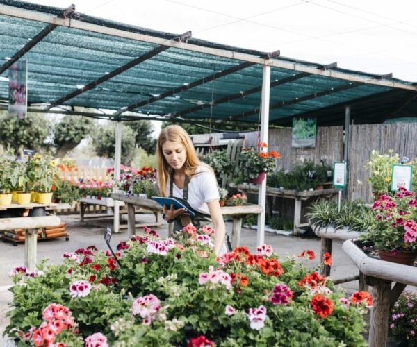 10 variétés de fleurs parfaites pour embellir votre jardin au mois d’avril