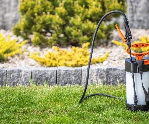 Choisir le meilleur pulvérisateur électrique pour votre jardin urbain