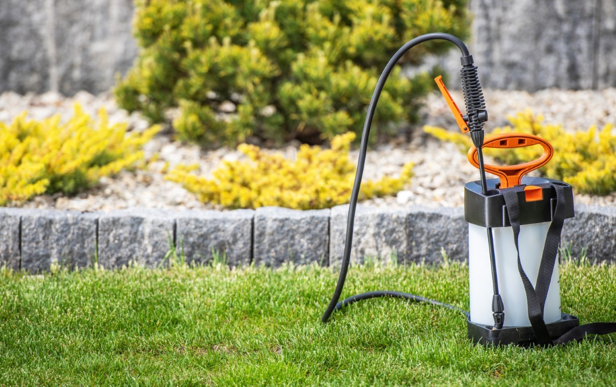 Choisir le meilleur pulvérisateur électrique pour votre jardin urbain