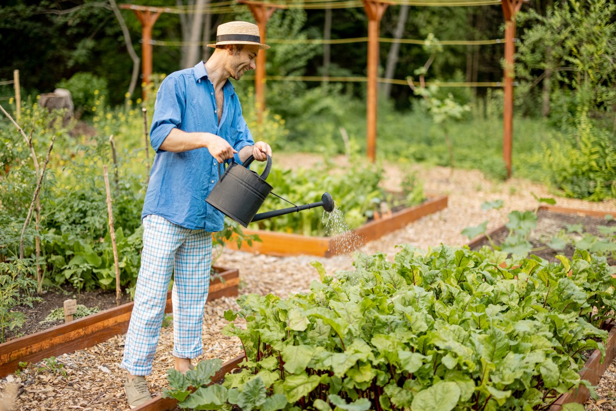 Le potager vertical pour des récoltes abondantes en espace réduit