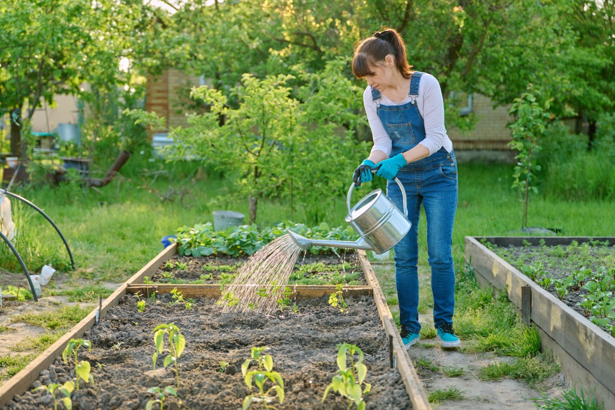 potager vertical en espace réduit