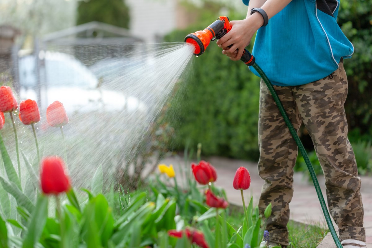 pulvérisateur pour un jardin urbain