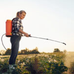 Le secret d&rsquo;un bon dosage du glyphosate pour 10 l d&rsquo;eau