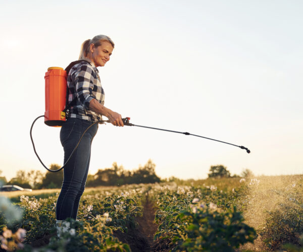 Le secret d&rsquo;un bon dosage du glyphosate pour 10 l d&rsquo;eau