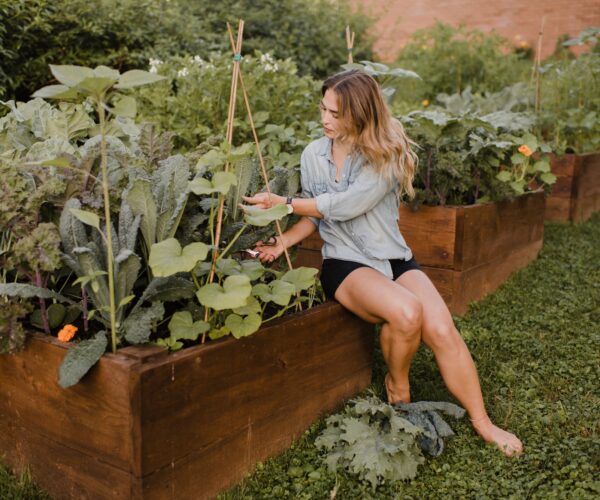 Principaux éléments à prendre en compte lors de la construction de plates-formes de jardinage surélevées