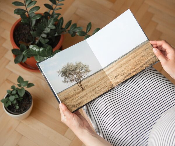 Les meilleurs matériaux pour faire une place de parking dans son jardin