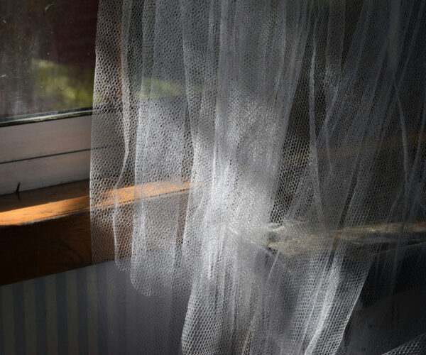 Moustiquaire de fenêtre : guide pour bien entretenir et prolonger sa durée de vie