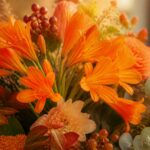Agapanthe orange : l&rsquo;alliée idéale pour ajouter de la chaleur à vos arrangements floraux