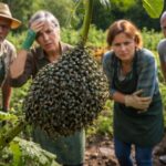 Nid de mouche verte : témoignages de jardiniers confrontés à ce fléau